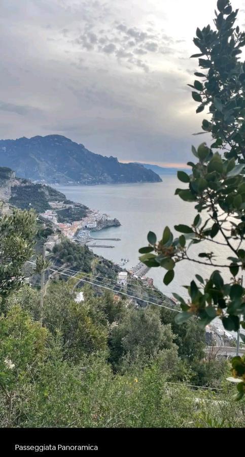 فيلا La Scivitella أمالفي المظهر الخارجي الصورة
